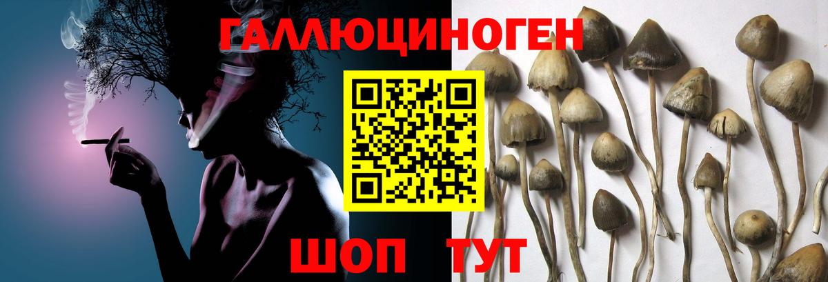 Галлюциногенные грибы мухоморы Советск