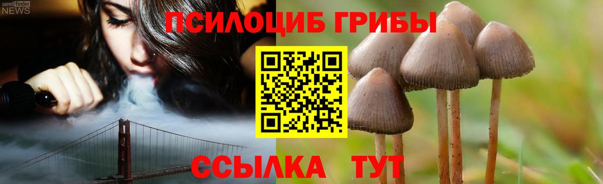 Советск  Псилоцибиновые грибы Magic Shrooms  Вход с VPN 